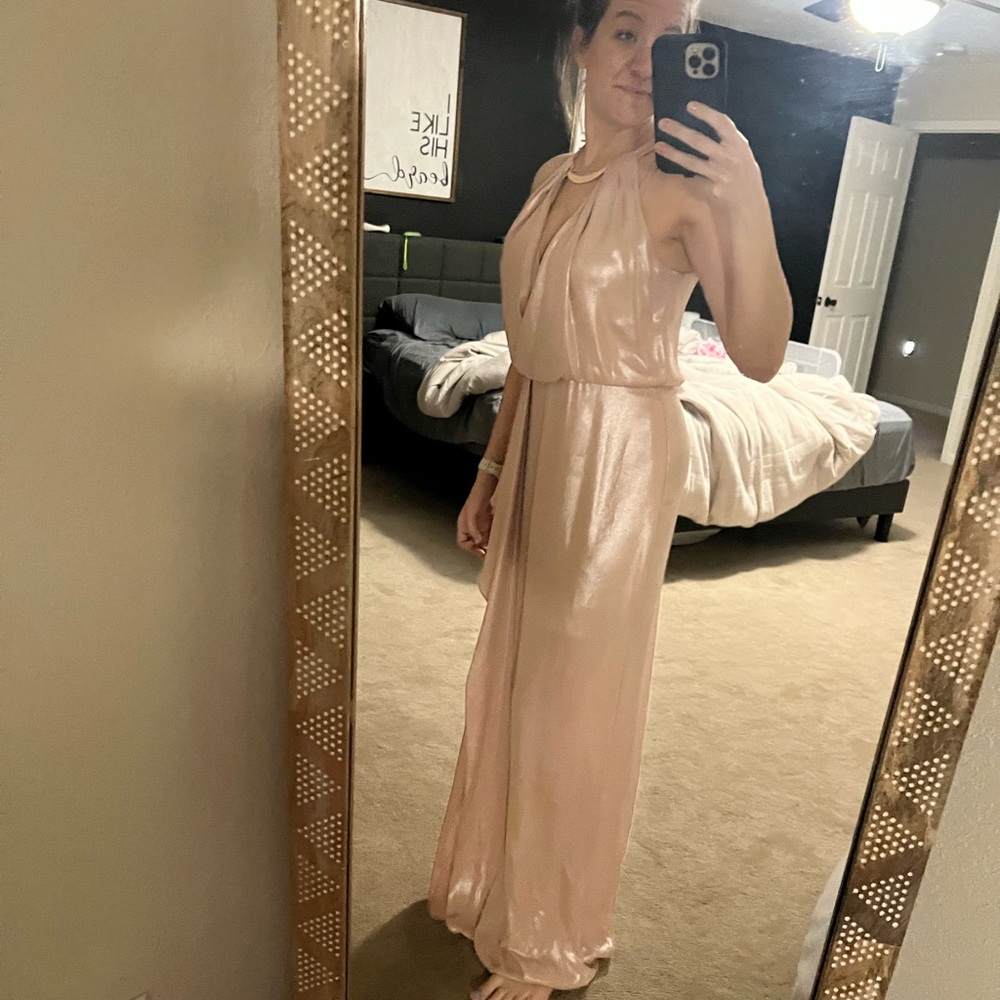 XSCAPE Woman's Formal Dress Size 4 Pink Metallic Chiffon Sleeveless Long Gown